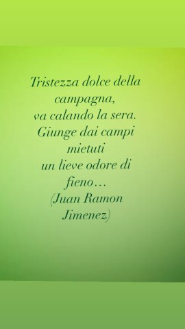 Gastronomia Pasticio Biancu